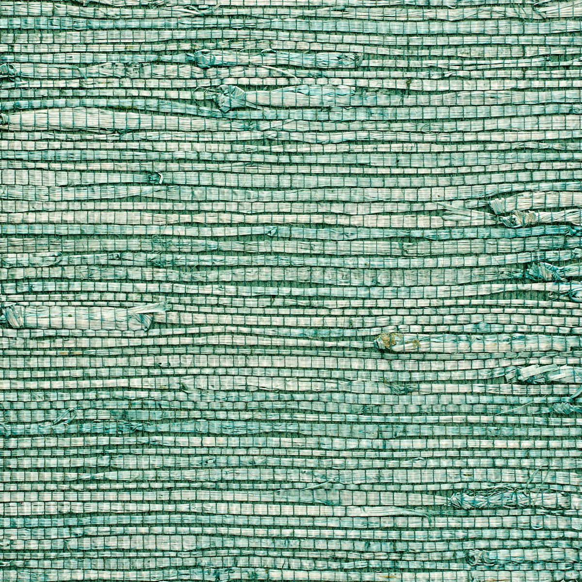 Purchase 1965 Extra Fine Arrowroot Key West Phillip Jeffries Wallpaper