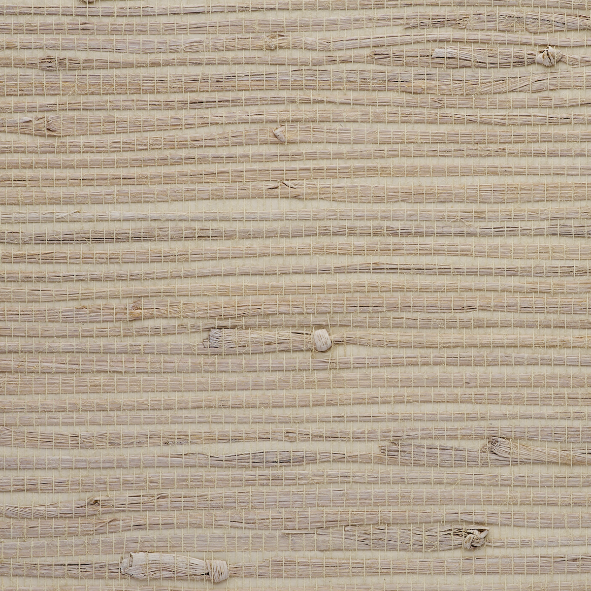 Purchase 9033 Gallant Grasses Noble Nuance Phillip Jeffries