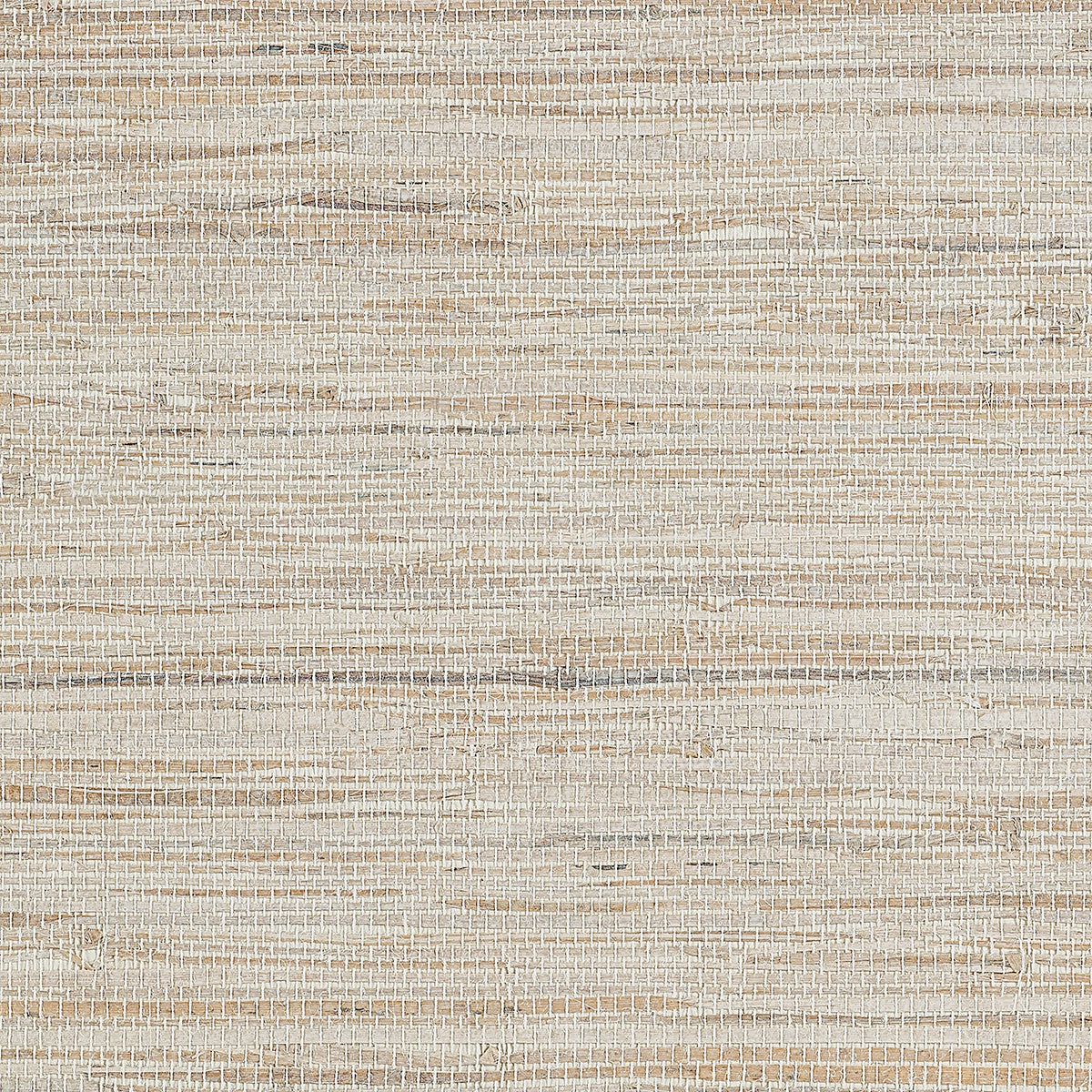 Purchase Phillip Jeffries Wallpaper - 37804, Grandview Grass - Oyster Shell