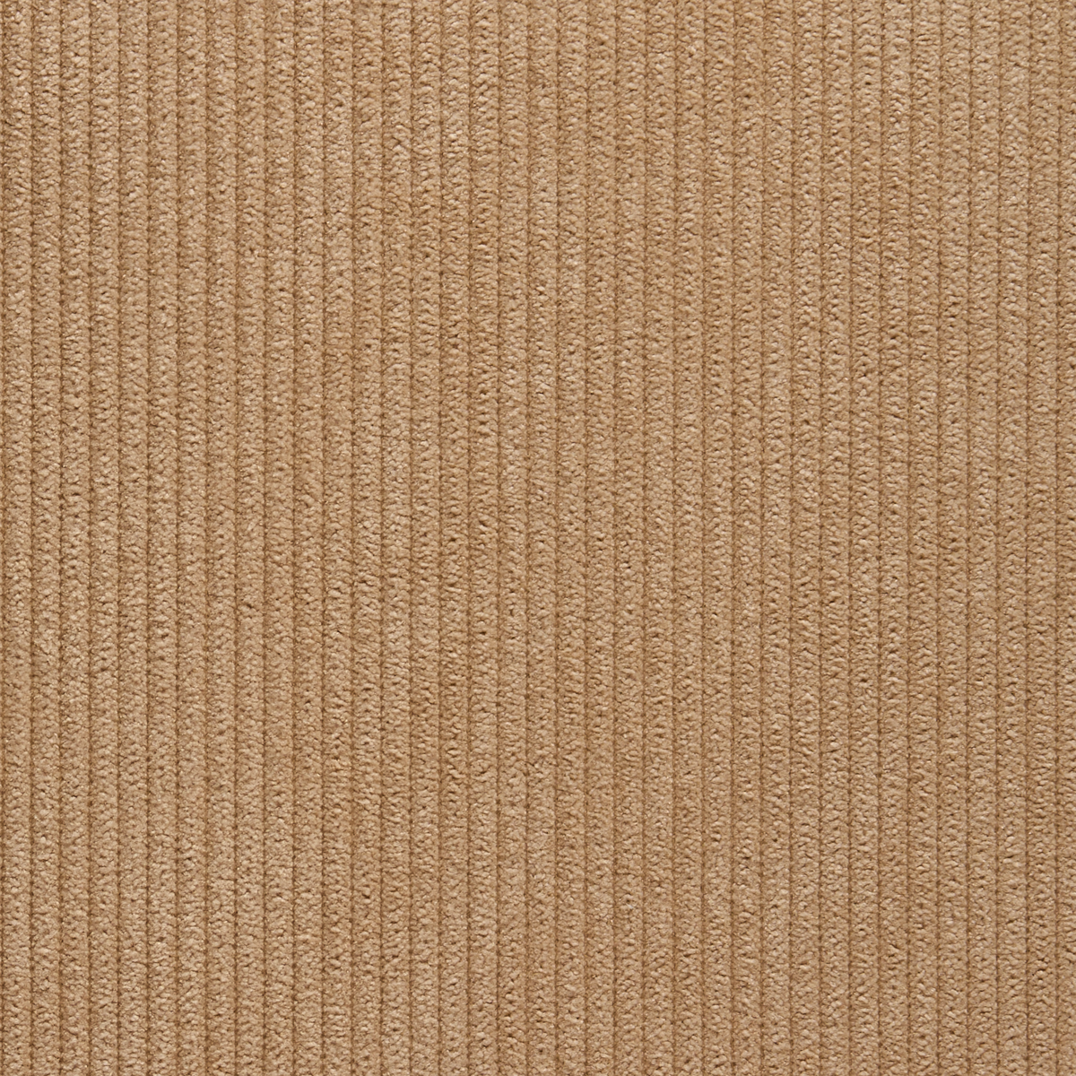 Purchase 8919 Corduroy Cloth Tufted Tan Phillip Jeffries