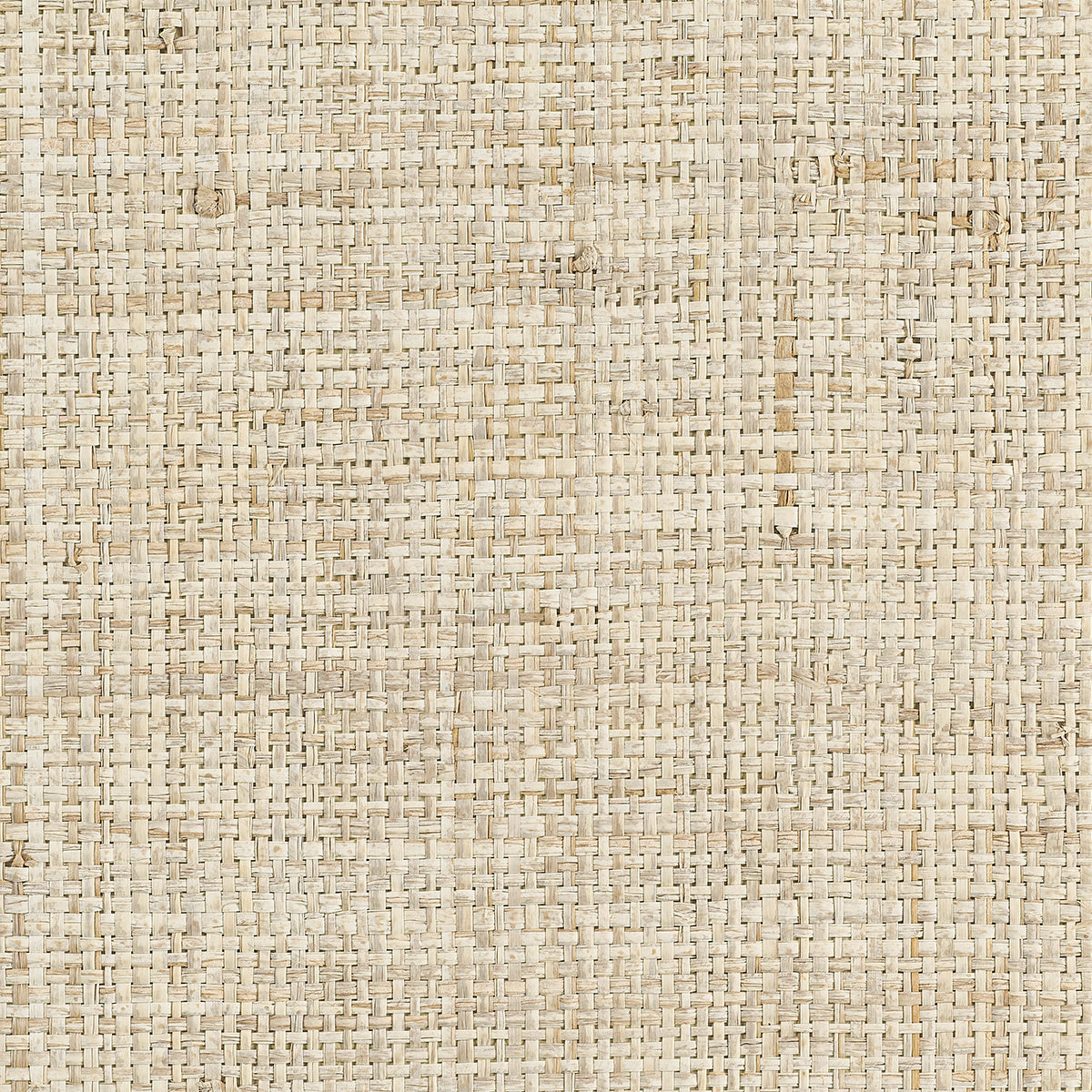 Purchase 3404-B Island Raffia Sea Wall Beige Phillip Jeffries Wallpaper