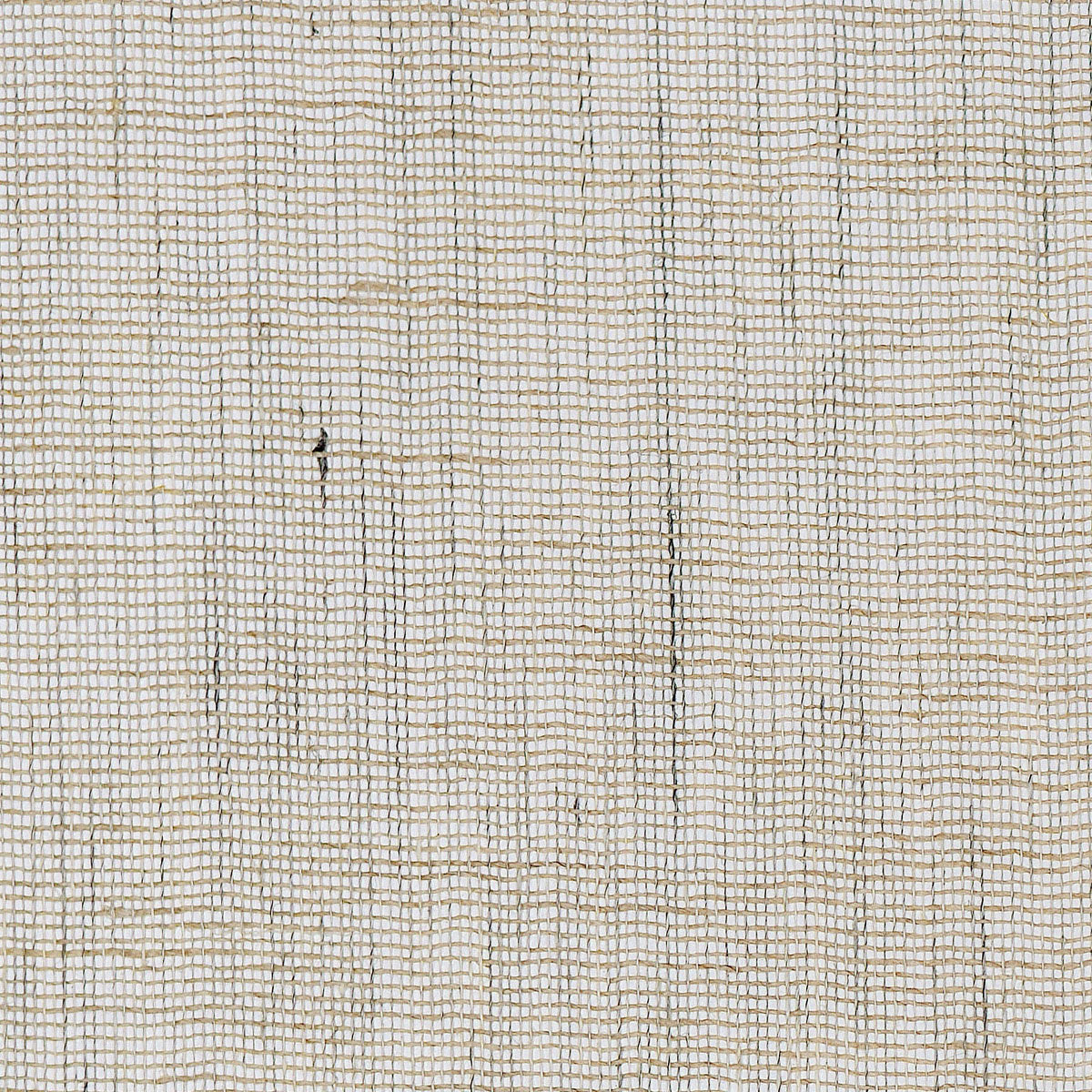 Purchase 5552 Seaside Linen Conch Phillip Jeffries