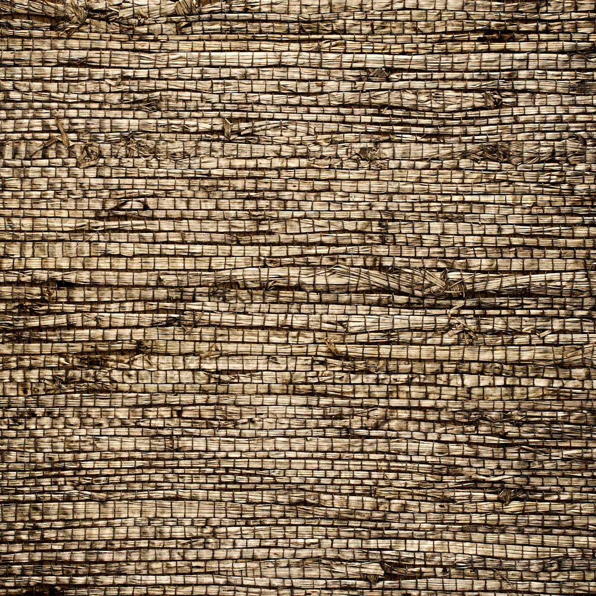 Purchase 3568 Extra Fine Arrowroot Fog Phillip Jeffries Wallpaper