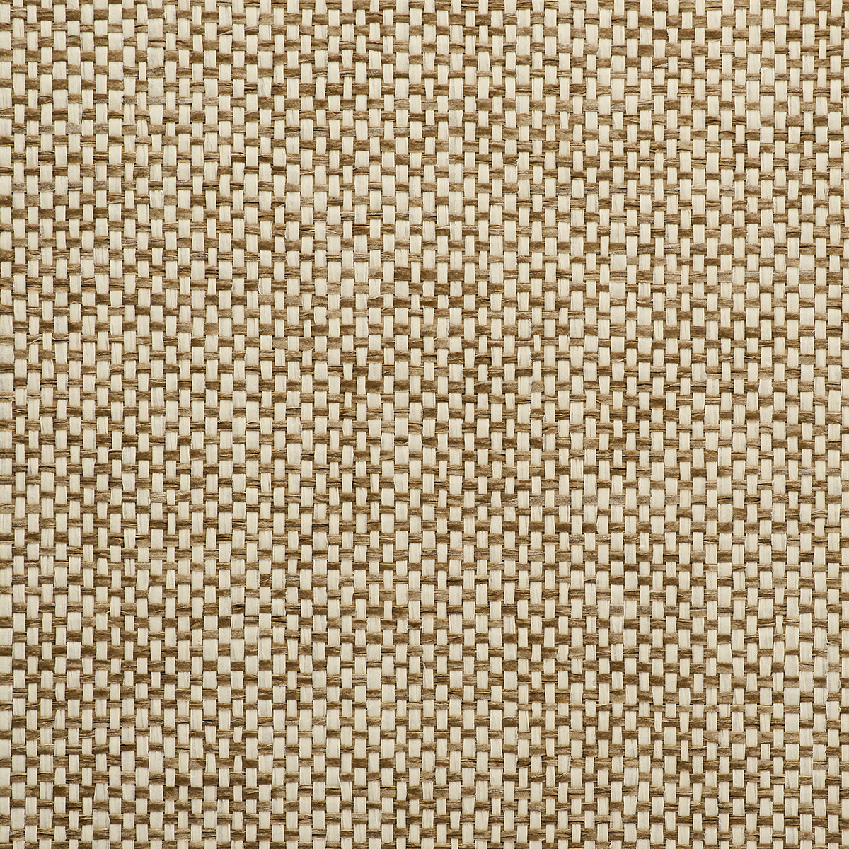 Purchase 3334 All Wound Up Chromatic Coco Phillip Jeffries Wallpaper