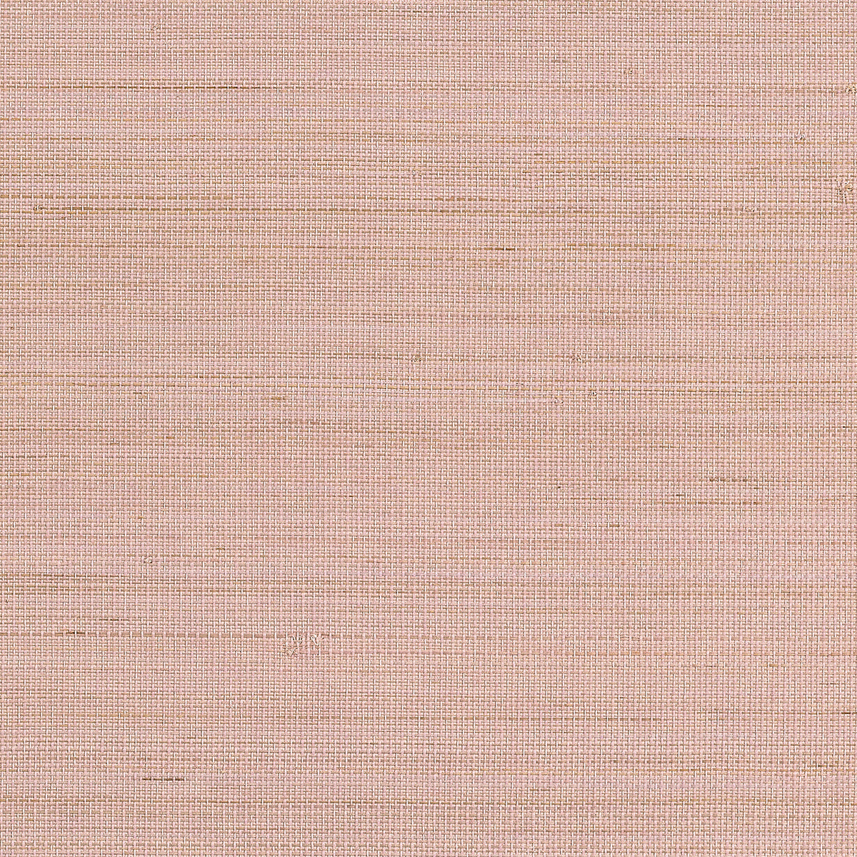 Purchase 1107 Tailored Walls Abaca Harvest Desert Rose Phillip Jeffries Wallpaper