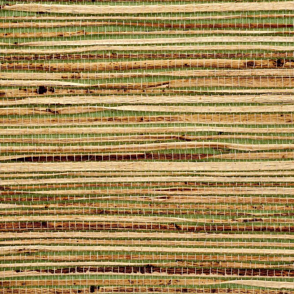 Purchase 9149 Grass Roots Tropical Horizon Phillip Jeffries Wallpaper