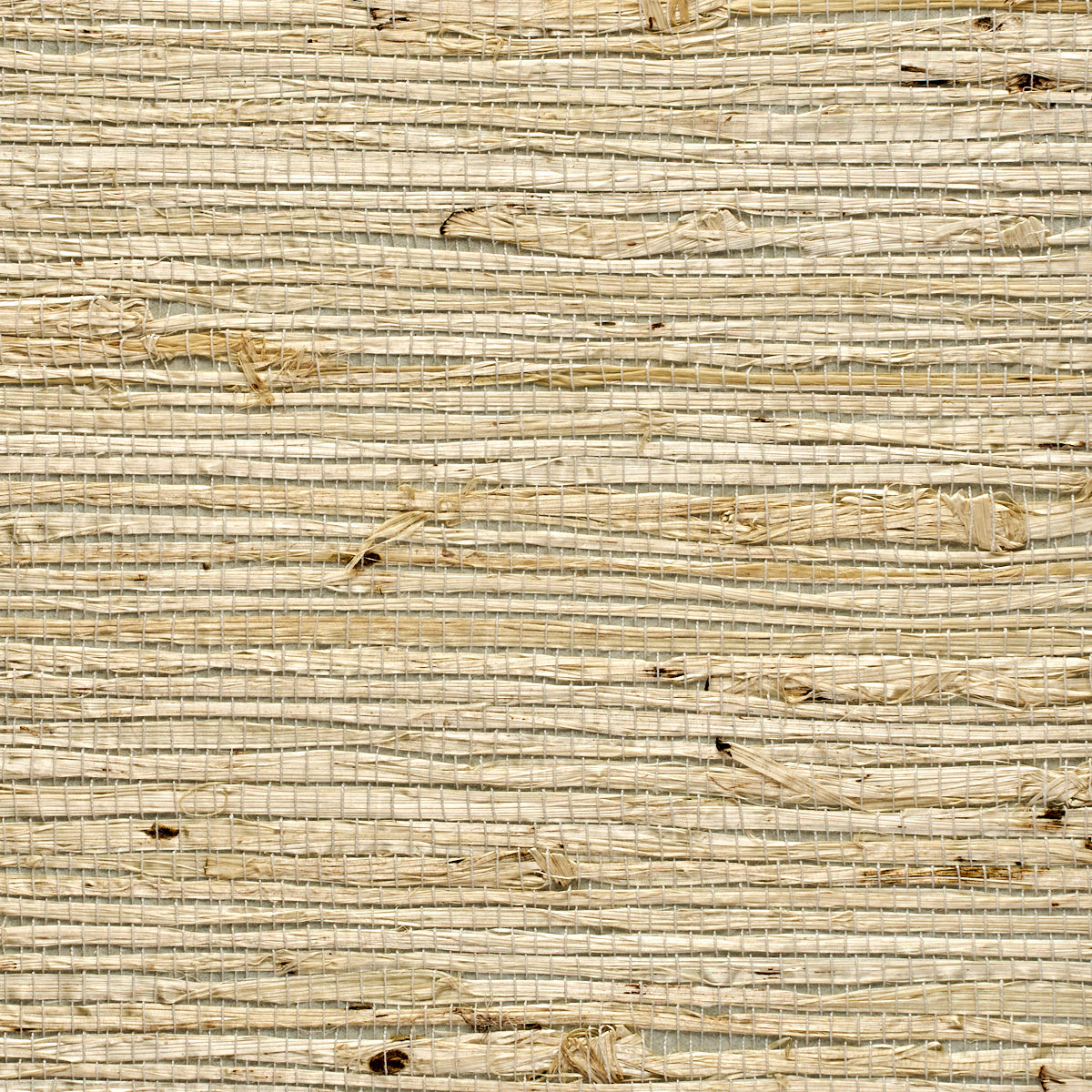 Purchase 3836 Extra Fine Arrowroot Sky Phillip Jeffries Wallpaper