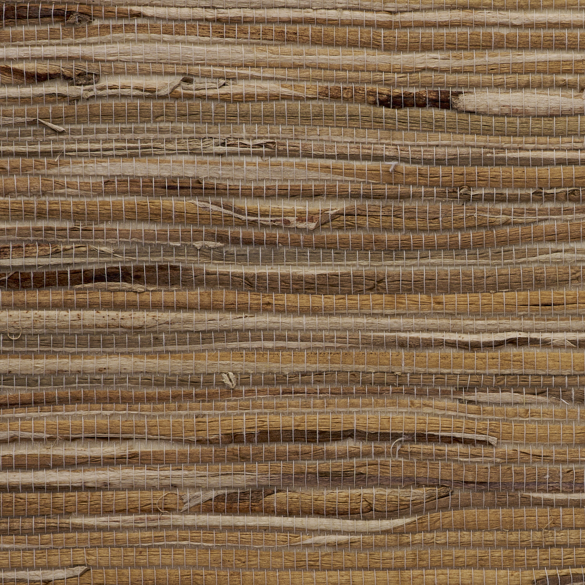 Purchase 4781 Juicy Jute II Lemongrass Phillip Jeffries