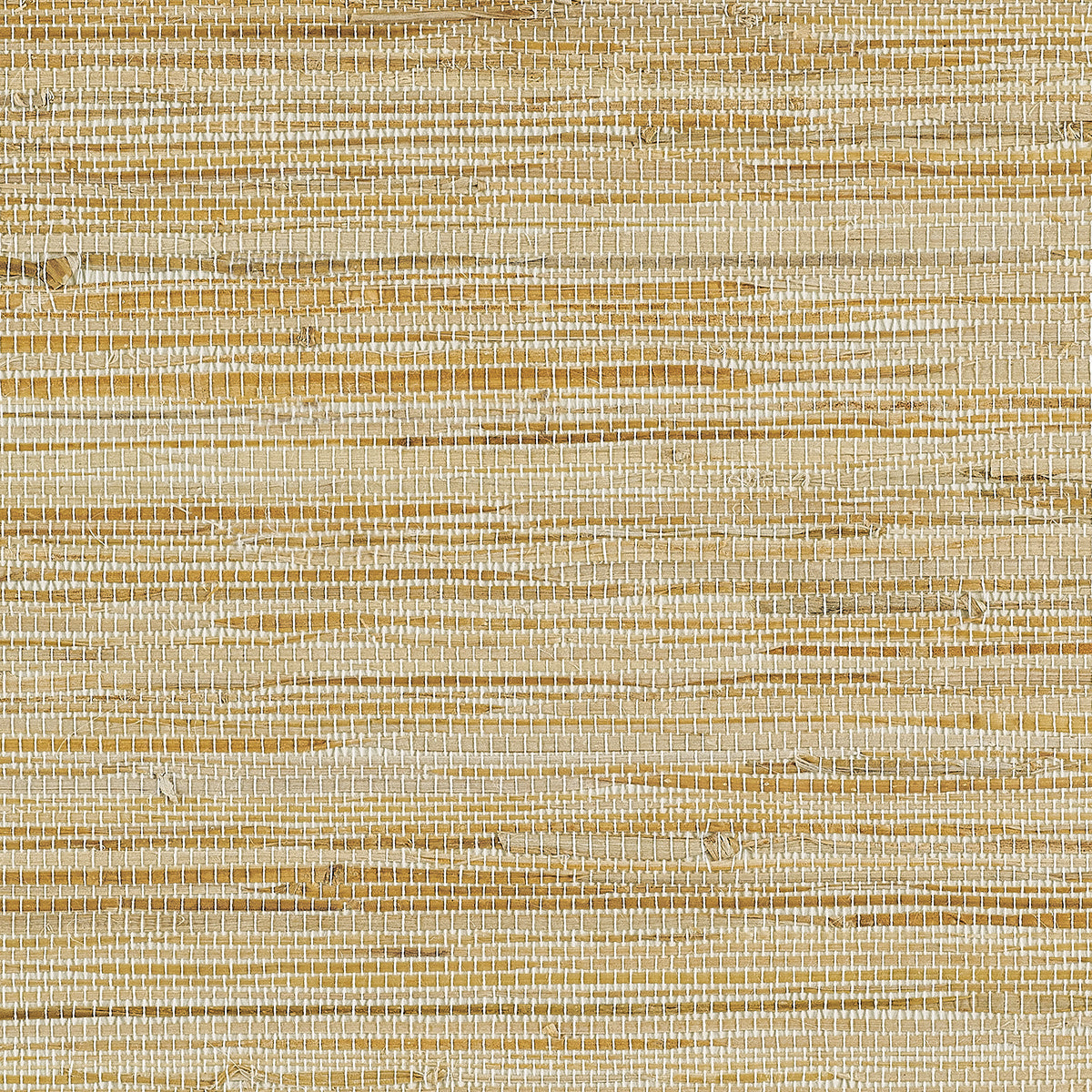 Purchase Phillip Jeffries Wallpaper - 37805, Grandview Grass - Soft Umber
