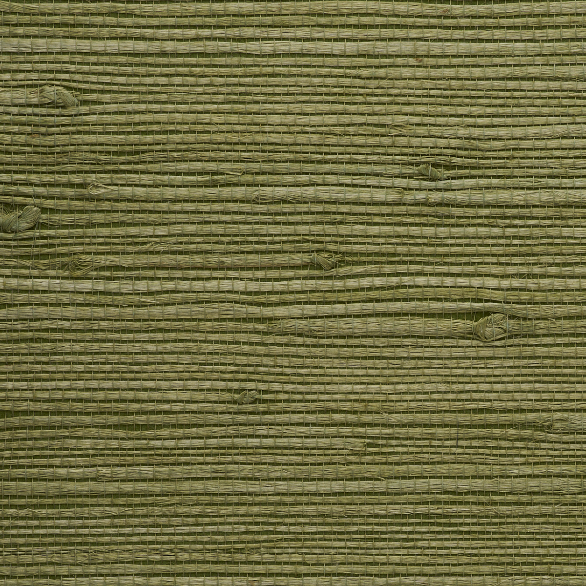 Purchase 9259 Juicy Jute III Garden Green Phillip Jeffries Wallpaper