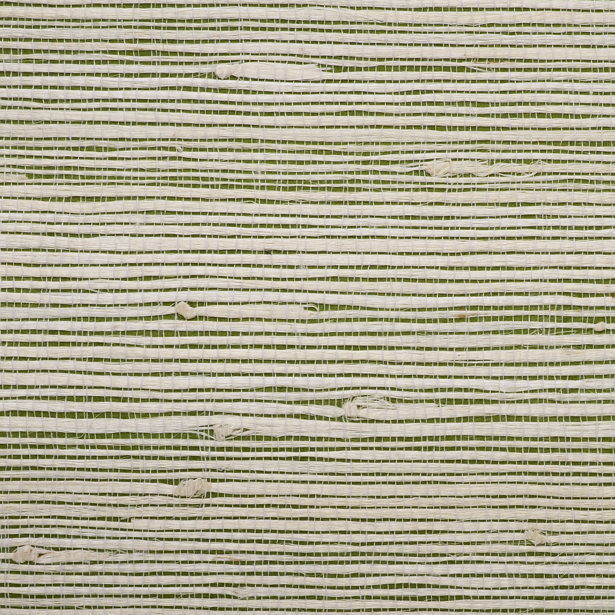 Purchase 8851 Jazzy Jute Green Groove Phillip Jeffries Wallpaper