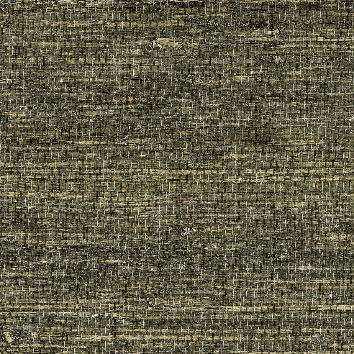 Purchase Phillip Jeffries Wallpaper - 10805, Extra Fine Arrowroot - Cypress