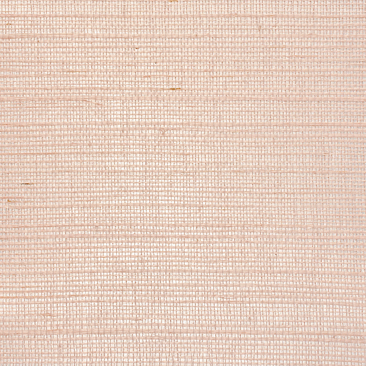 Purchase 1938 Glam Grass II Pink Charming Phillip Jeffries Wallpaper