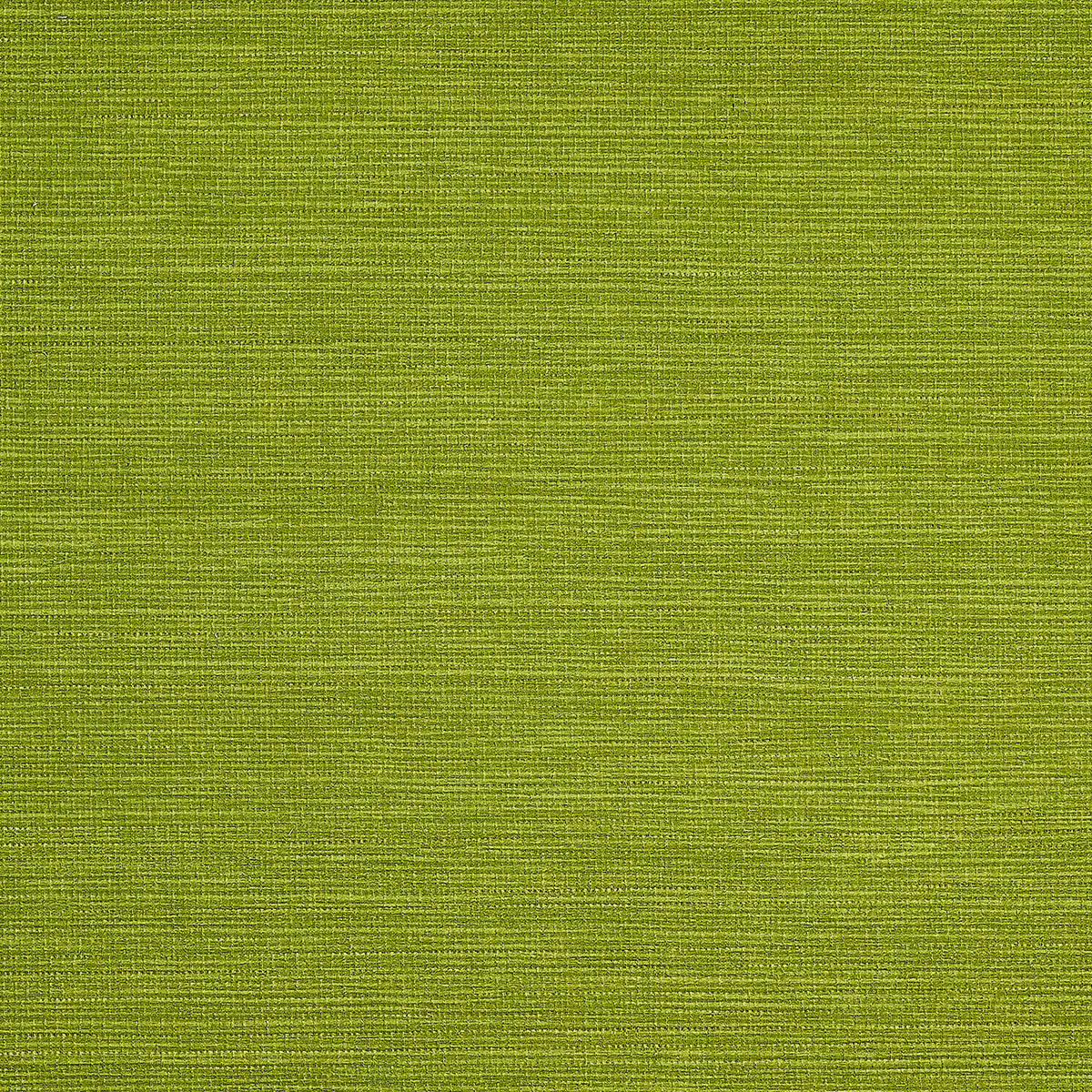 Purchase Phillip Jeffries Wallpaper - 9742, Pj Color Splash ™ - Peridot