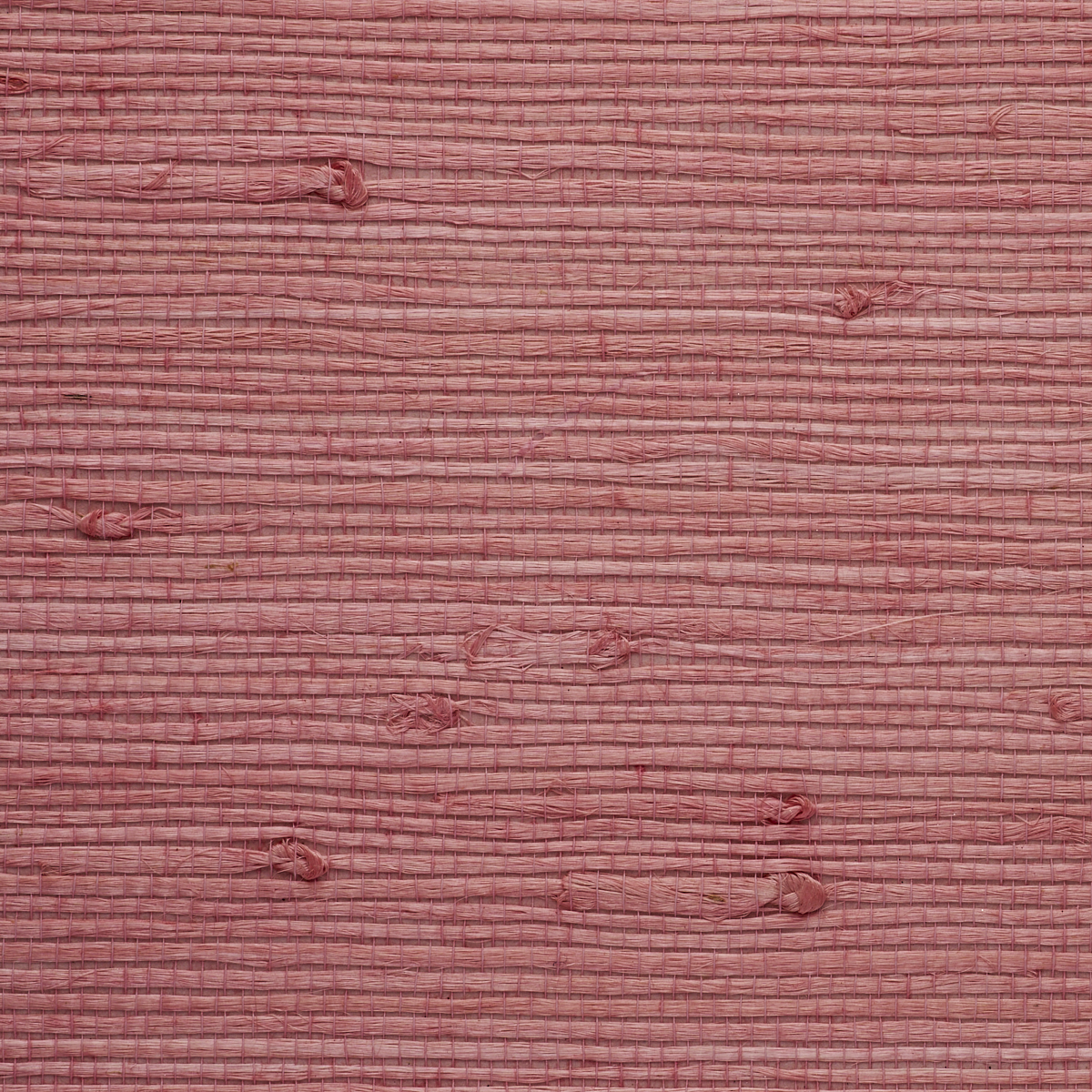 Purchase 9250 Juicy Jute III Bubblegum Pink Phillip Jeffries Wallpaper
