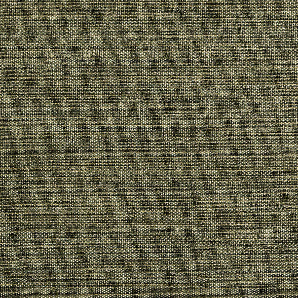 Purchase Phillip Jeffries Wallpaper - 10623, Abaca Royale - Verdant