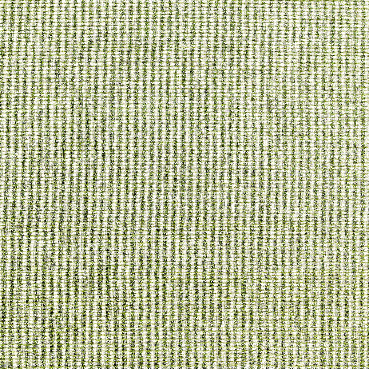 Purchase Phillip Jeffries Wallpaper - 10513, Shades Of Silk - Thyme