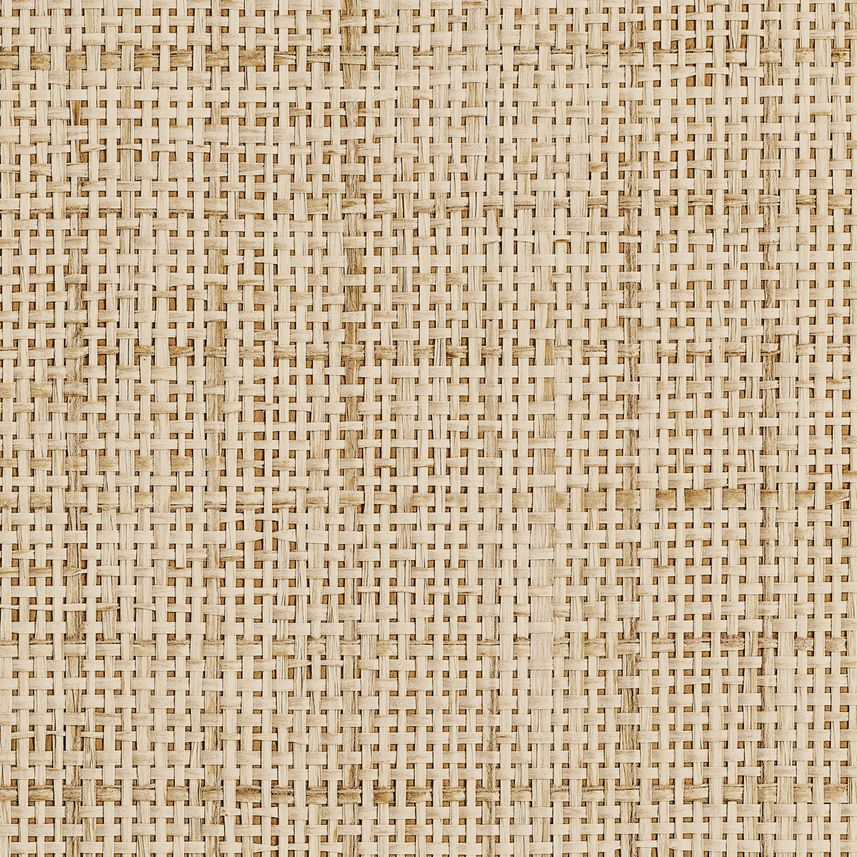 Purchase Phillip Jeffries Wallpaper - 10484, Graceful Grid - Honeyed