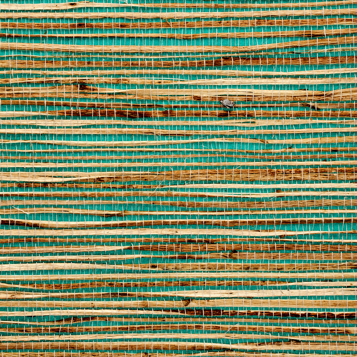 Purchase 3377 Grass Roots Tess' Turquoise Phillip Jeffries Wallpaper