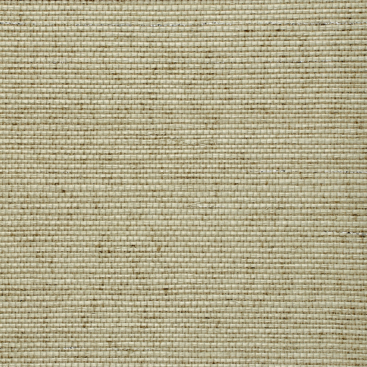 Purchase 5217 Glam Grass Geneva Grey Phillip Jeffries Wallpaper