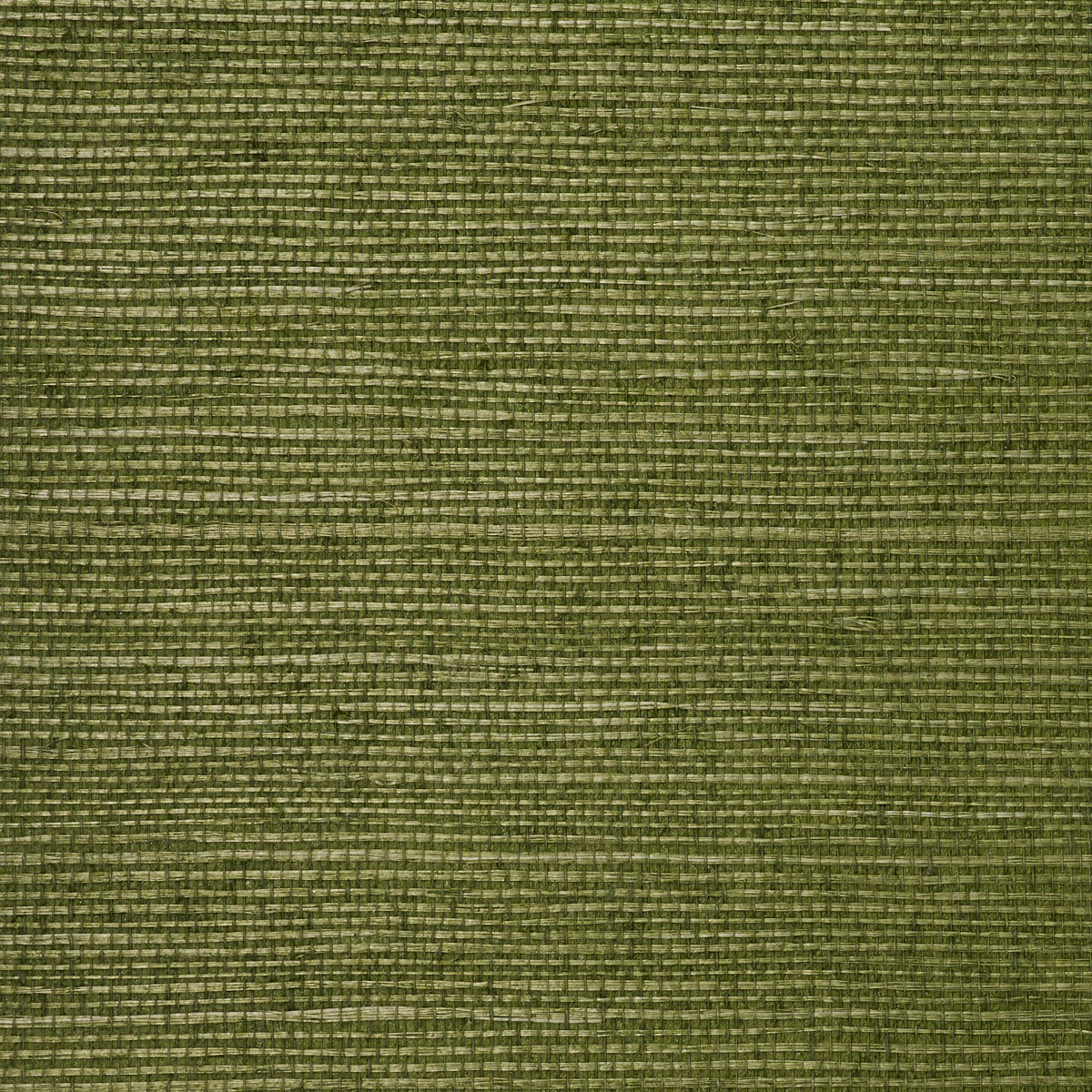 Purchase 3428 Manila Hemp Kelly Green Phillip Jeffries Wallpaper