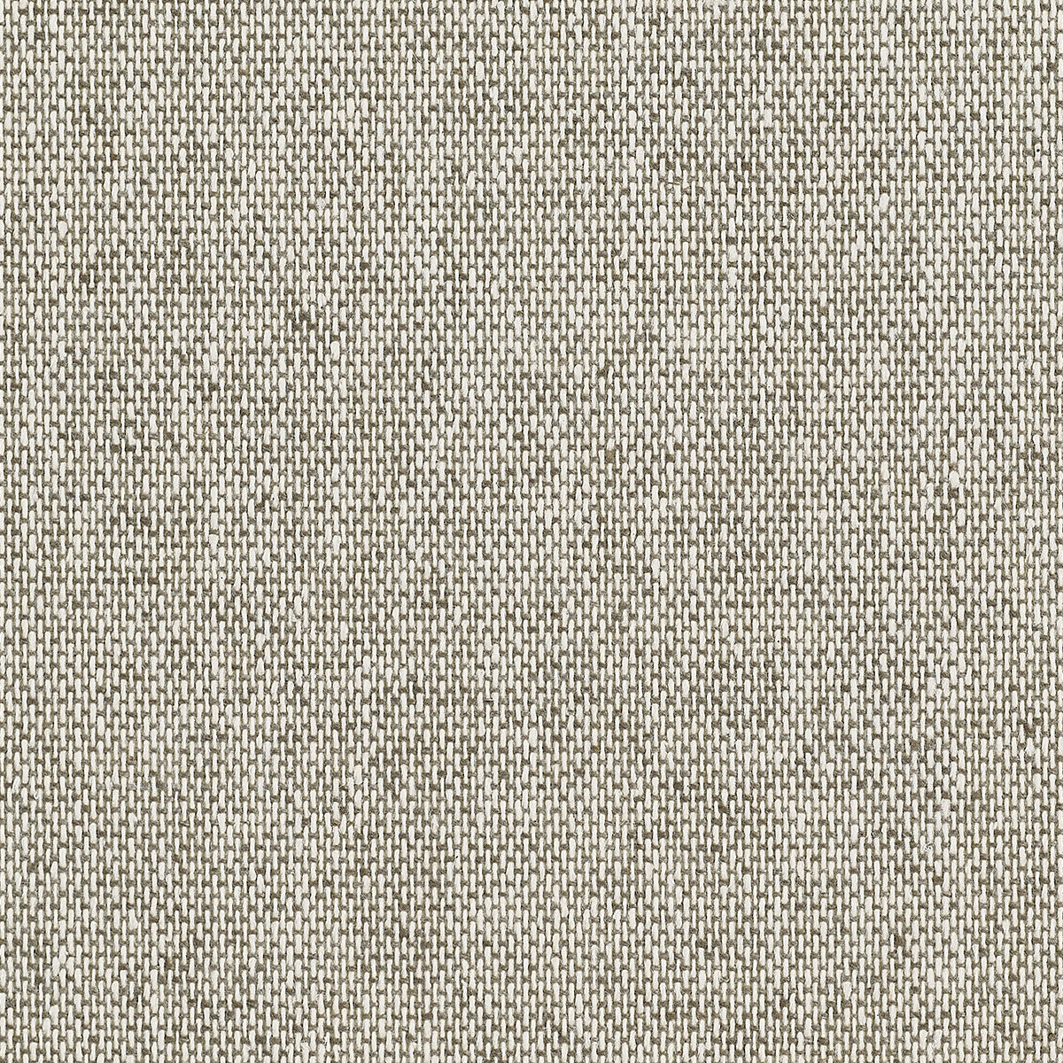 Purchase 5459 Tweed Hibernian Beige Phillip Jeffries Wallpaper