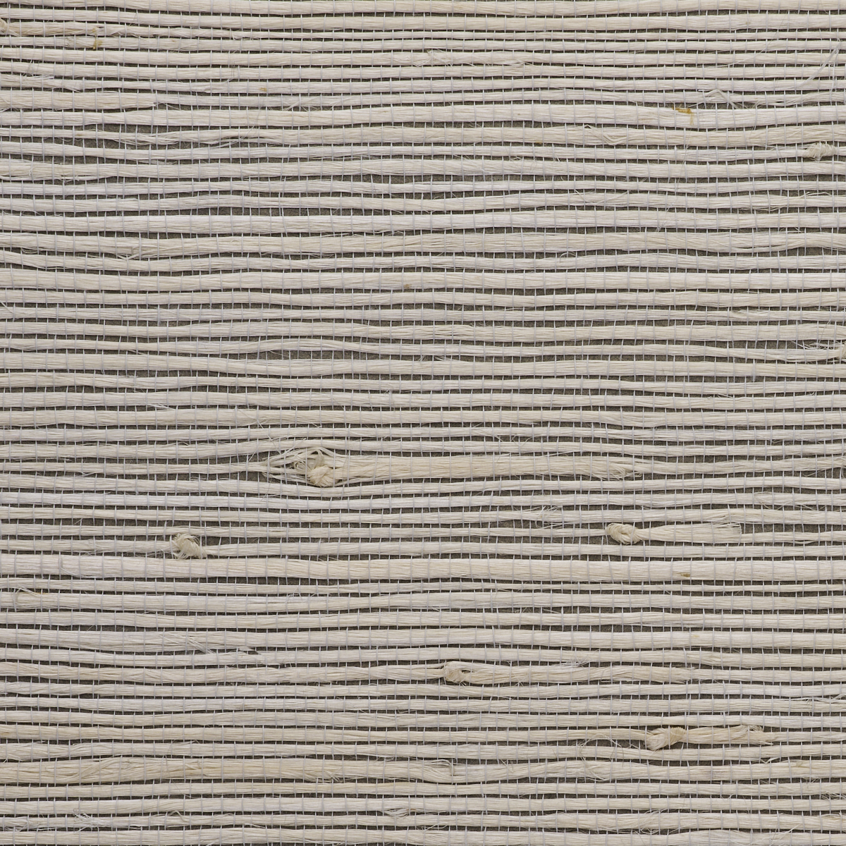 Purchase 4763 Juicy Jute II Dove Tail Phillip Jeffries