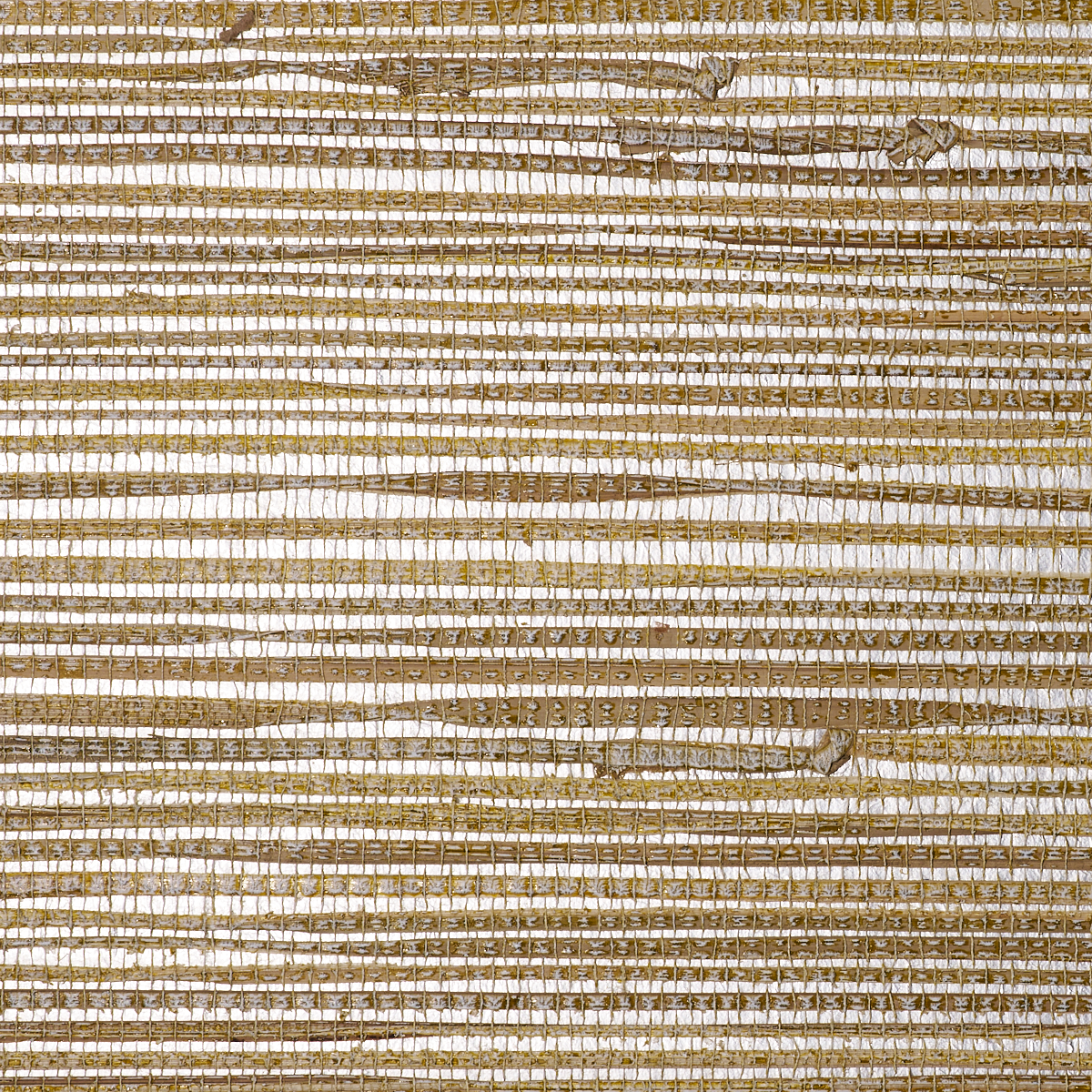 Purchase 2803 Shoreline Grass Citrus Spice Phillip Jeffries