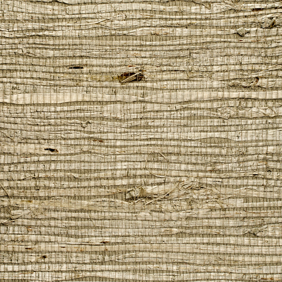 Purchase 1744 Extra Fine Arrowroot Dove/Harbor Blue Phillip Jeffries Wallpaper