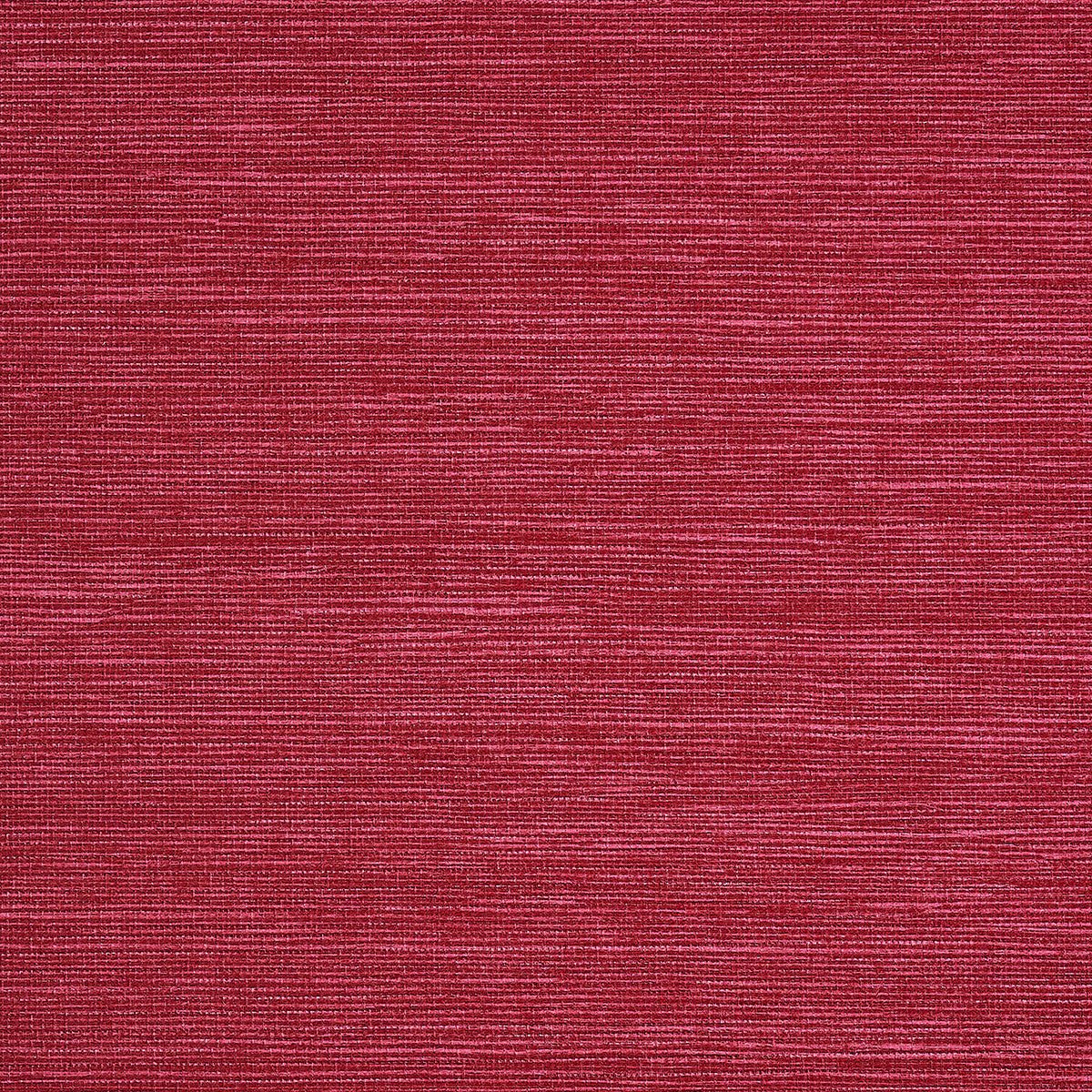Purchase Phillip Jeffries Wallpaper - 9786, Pj Color Splash ™ - Raspberry