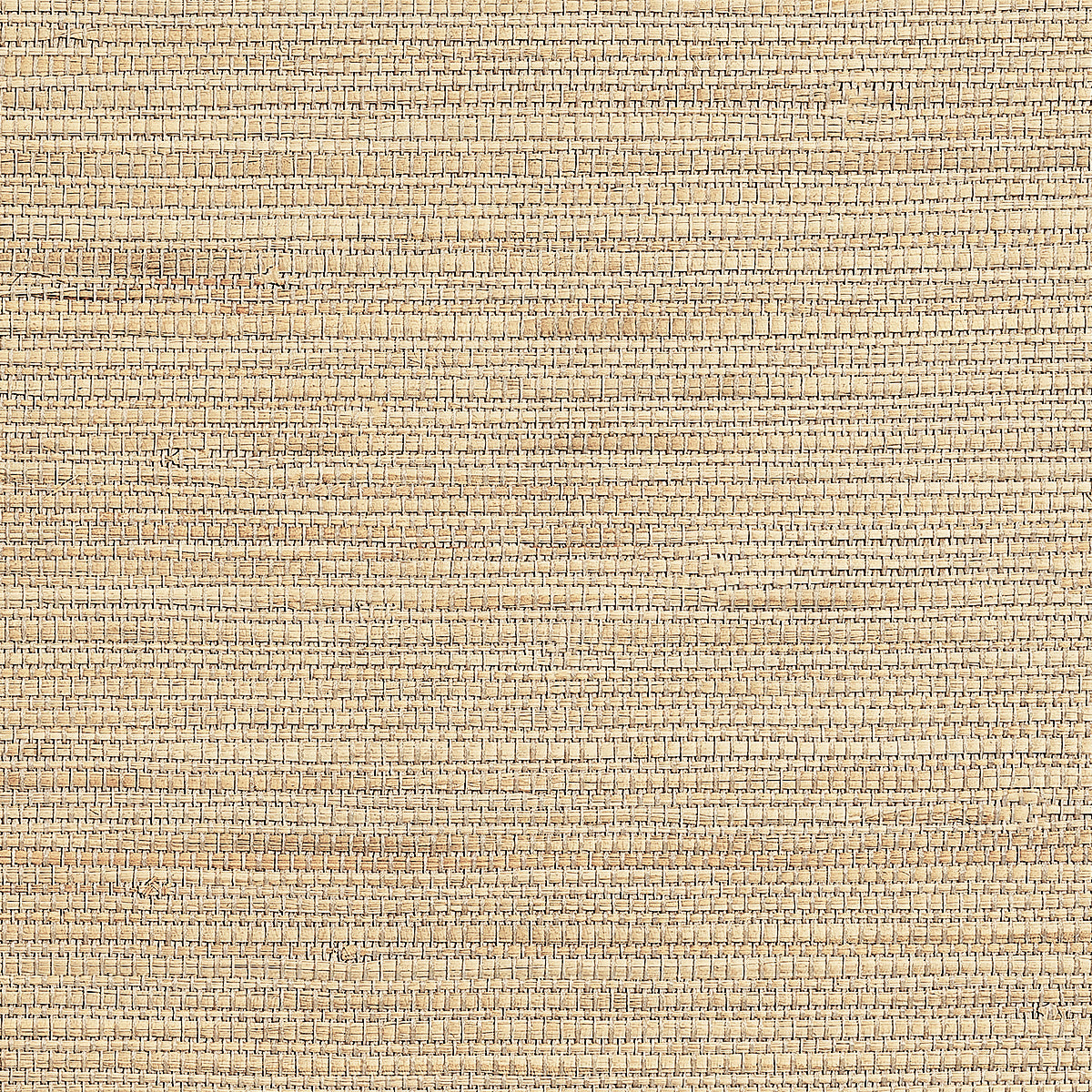 Purchase Phillip Jeffries Wallpaper - 9971, Coastline Grass - Coastal Beige
