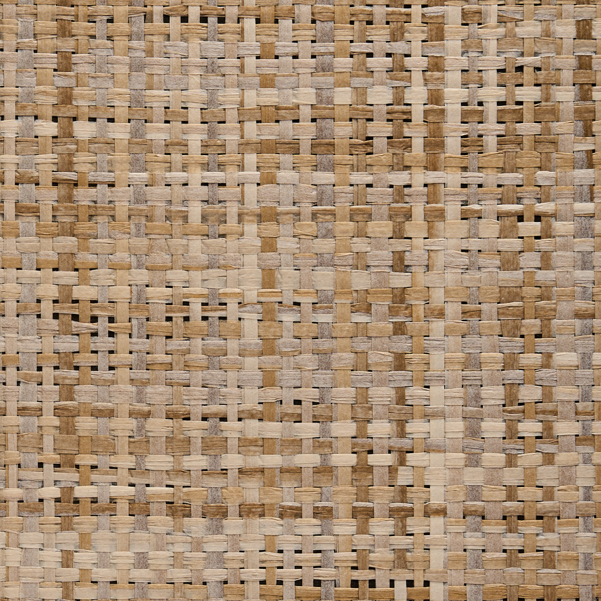 Purchase 1696 Driftwood Natural/Black Phillip Jeffries Wallpaper