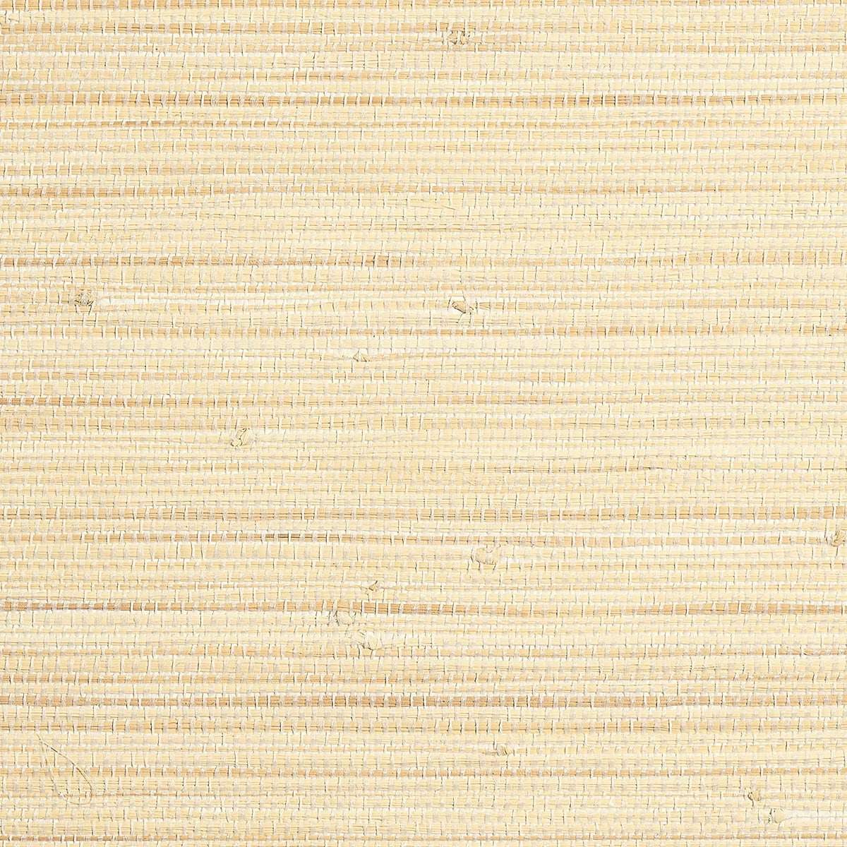 Purchase Phillip Jeffries Wallpaper - 9970, Coastline Grass - Conch Cream