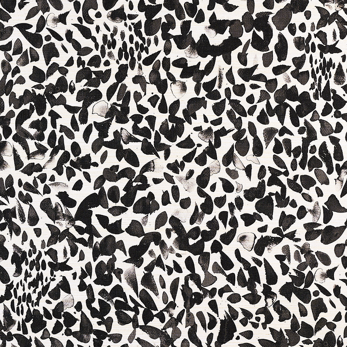 Purchase Phillip Jeffries Wallpaper - 9650, Pretty Petals - Poppy Black