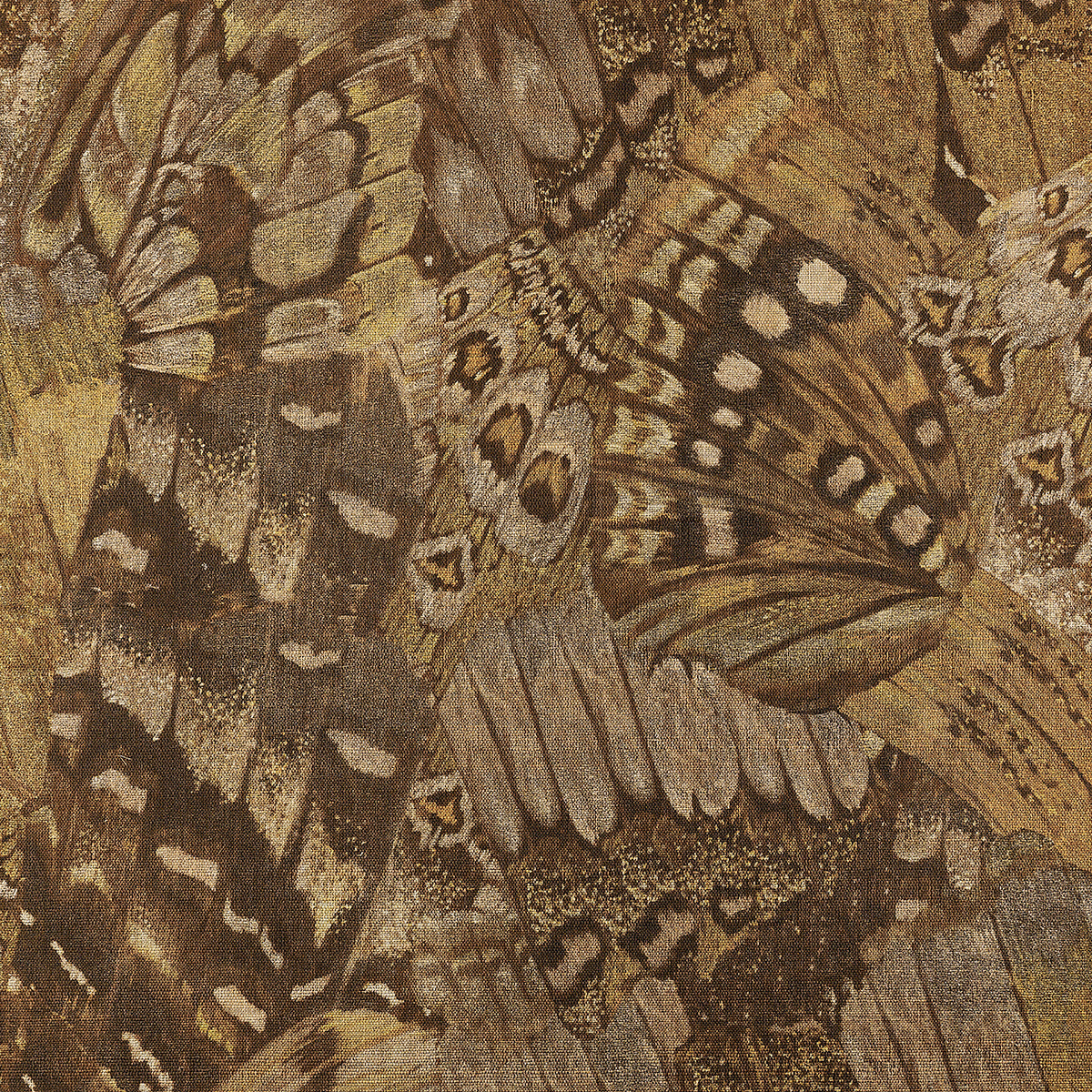 Purchase Phillip Jeffries Wallpaper - 9836, Aflutter - Dashing Brown