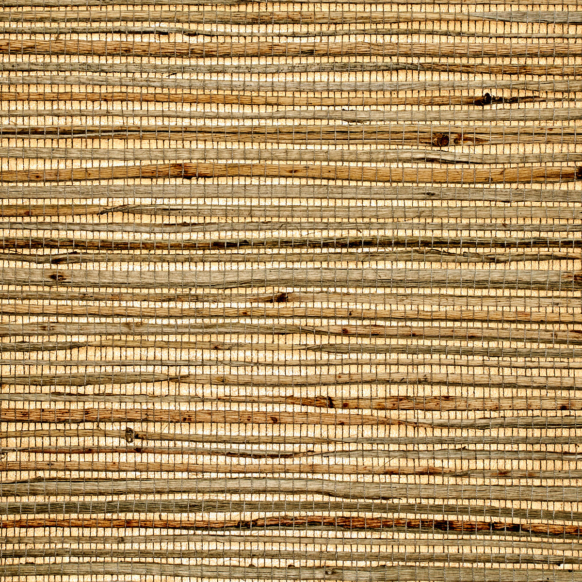 Purchase 3386 Grass Roots Olive Dream Phillip Jeffries Wallpaper