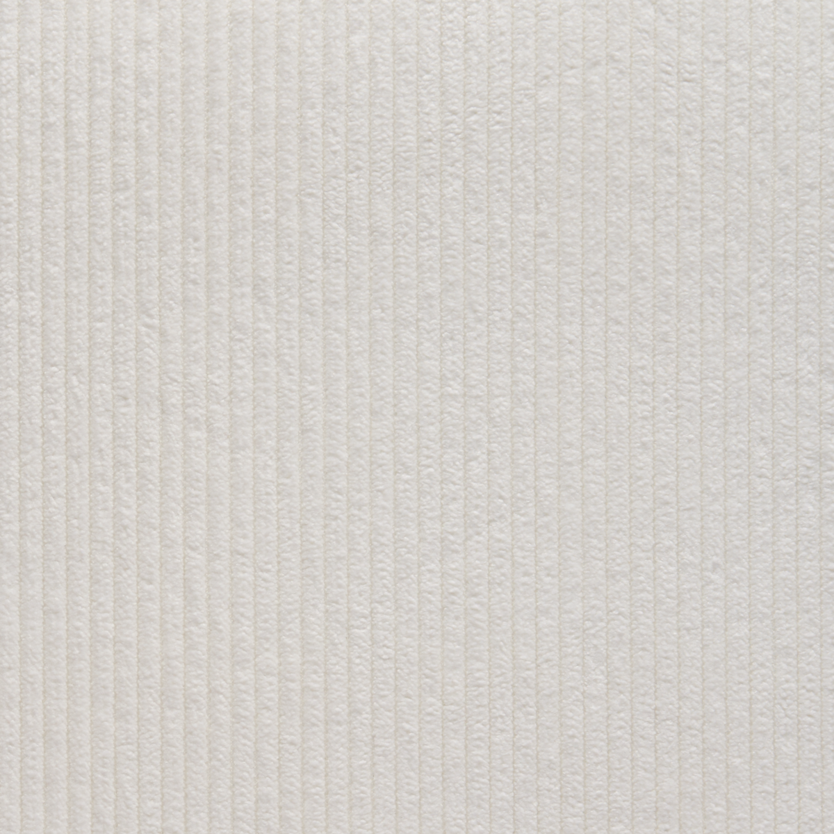 Purchase 8915 Corduroy Cloth Cotton Cords Phillip Jeffries