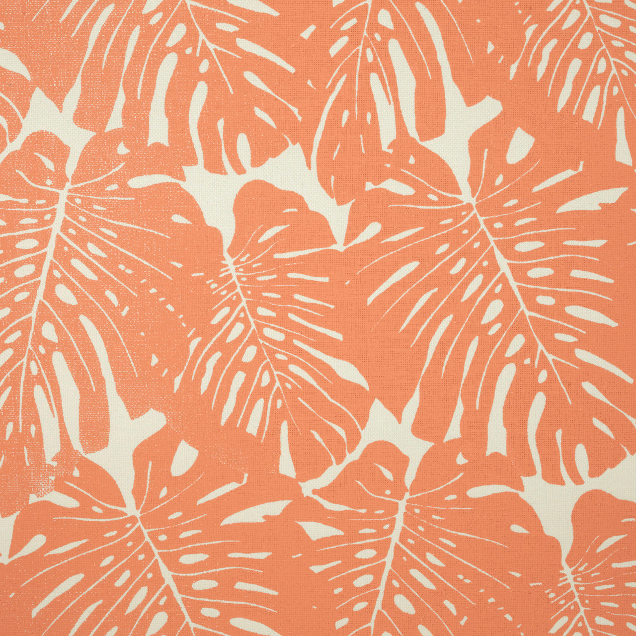 Purchase 5338 Jacks Jungle Coral On White Paperweave Phillip Jeffries Wallpaper