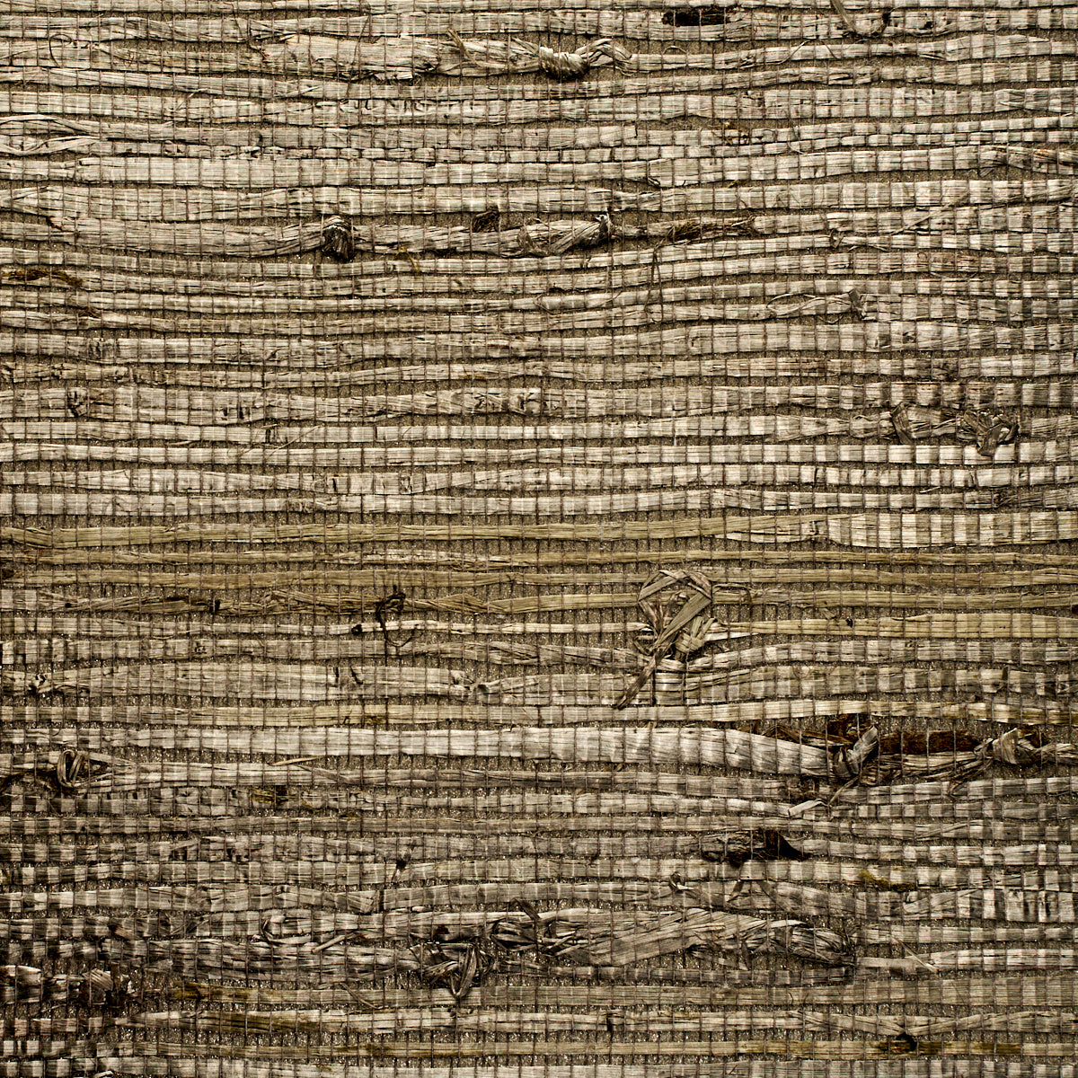 Purchase 3193 Extra Fine Arrowroot Steel Phillip Jeffries Wallpaper