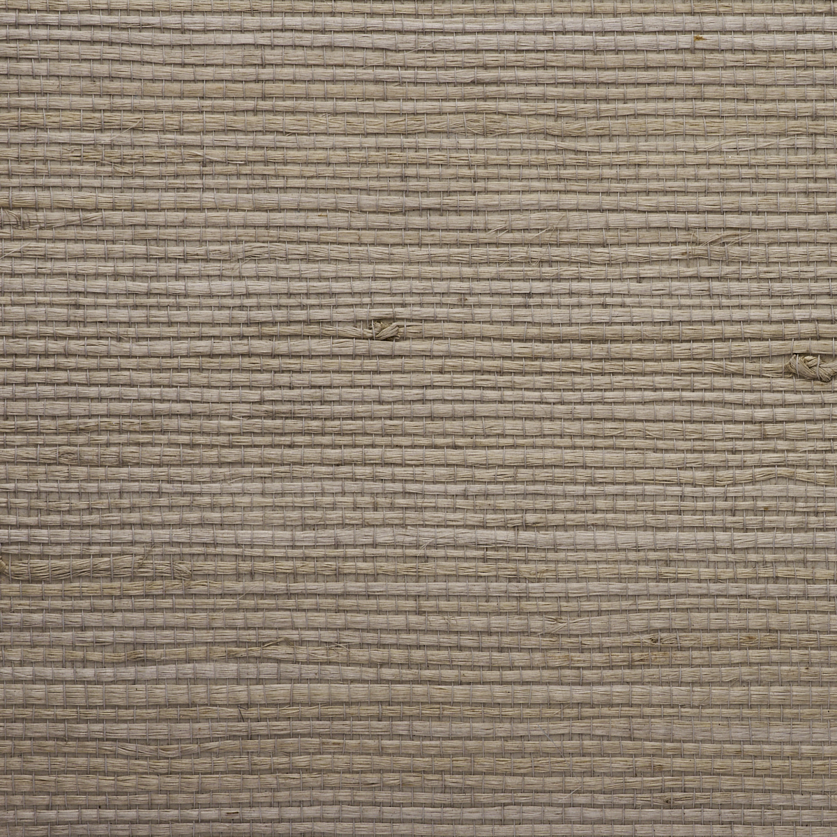 Purchase 9248 Juicy Jute III Wandering Path Phillip Jeffries Wallpaper