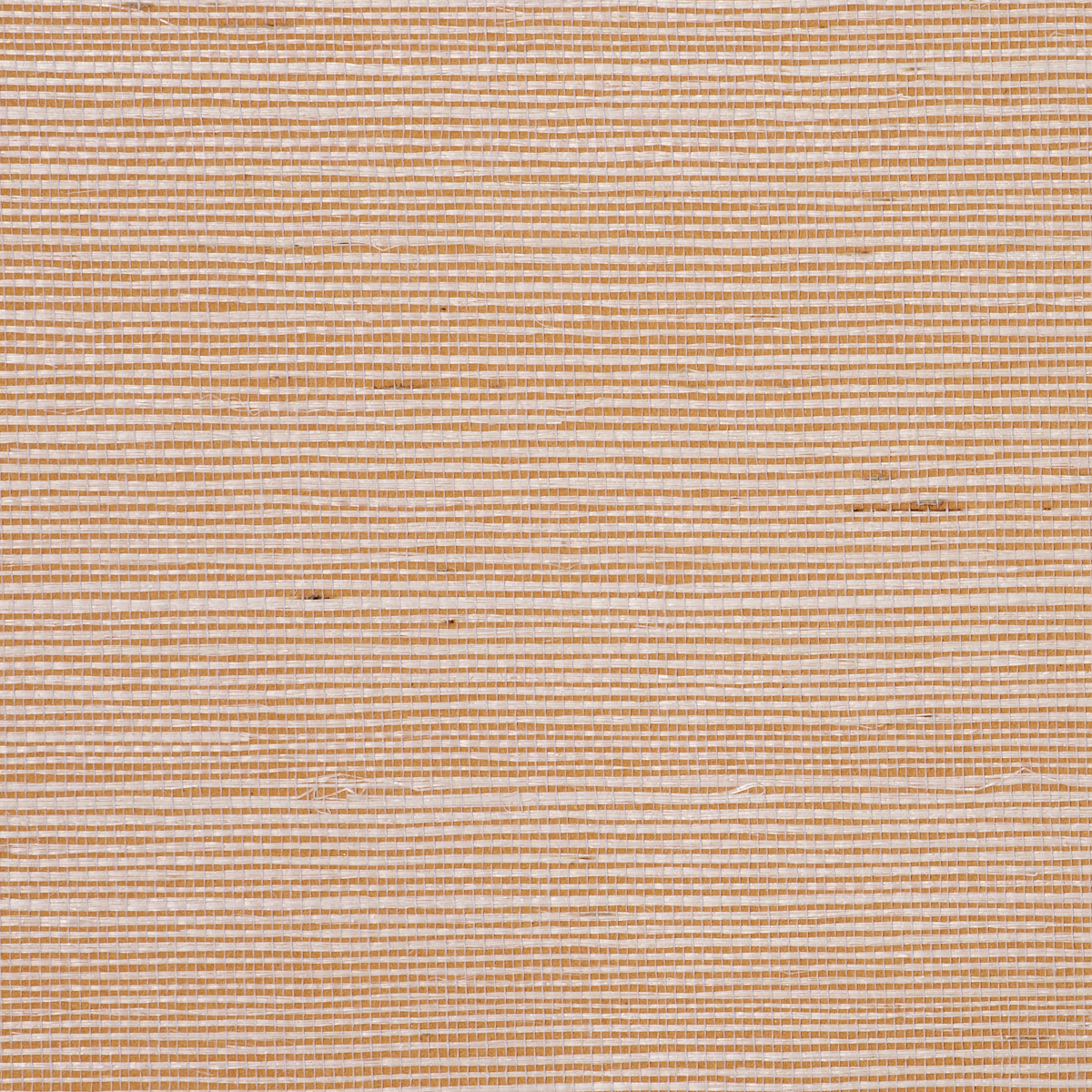 Purchase 5522 Bermuda Hemp II Clementine Phillip Jeffries Wallpaper