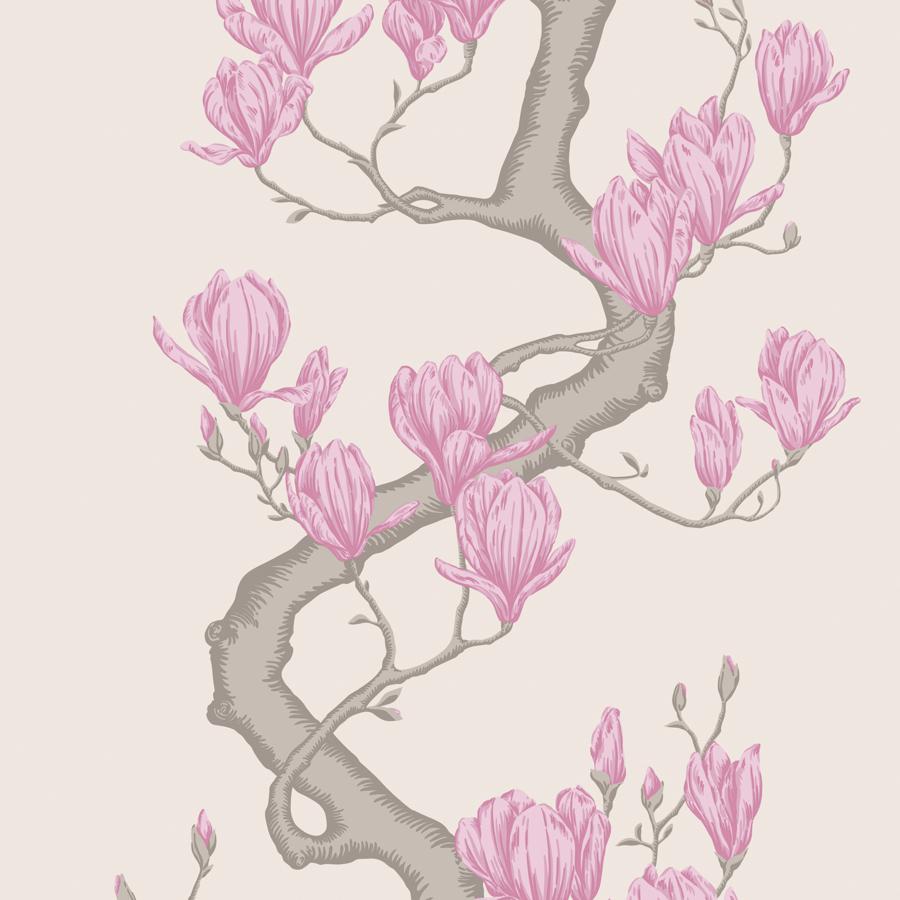 Purchase 128/1002 Magnolia Tree, Parchment Botanical - Cole & Son Wallpaper