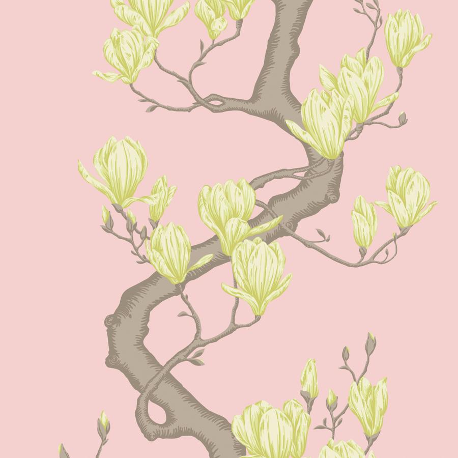 Purchase 128/1005 Magnolia Tree, Rose Pink Botanical - Cole & Son Wallpaper