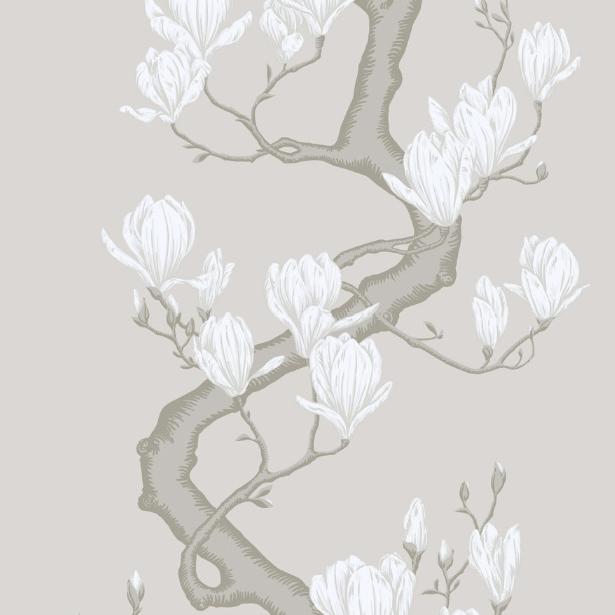 Purchase 128/1008S Magnolia Tree, Non Slub Botanical - Cole & Son Wallpaper