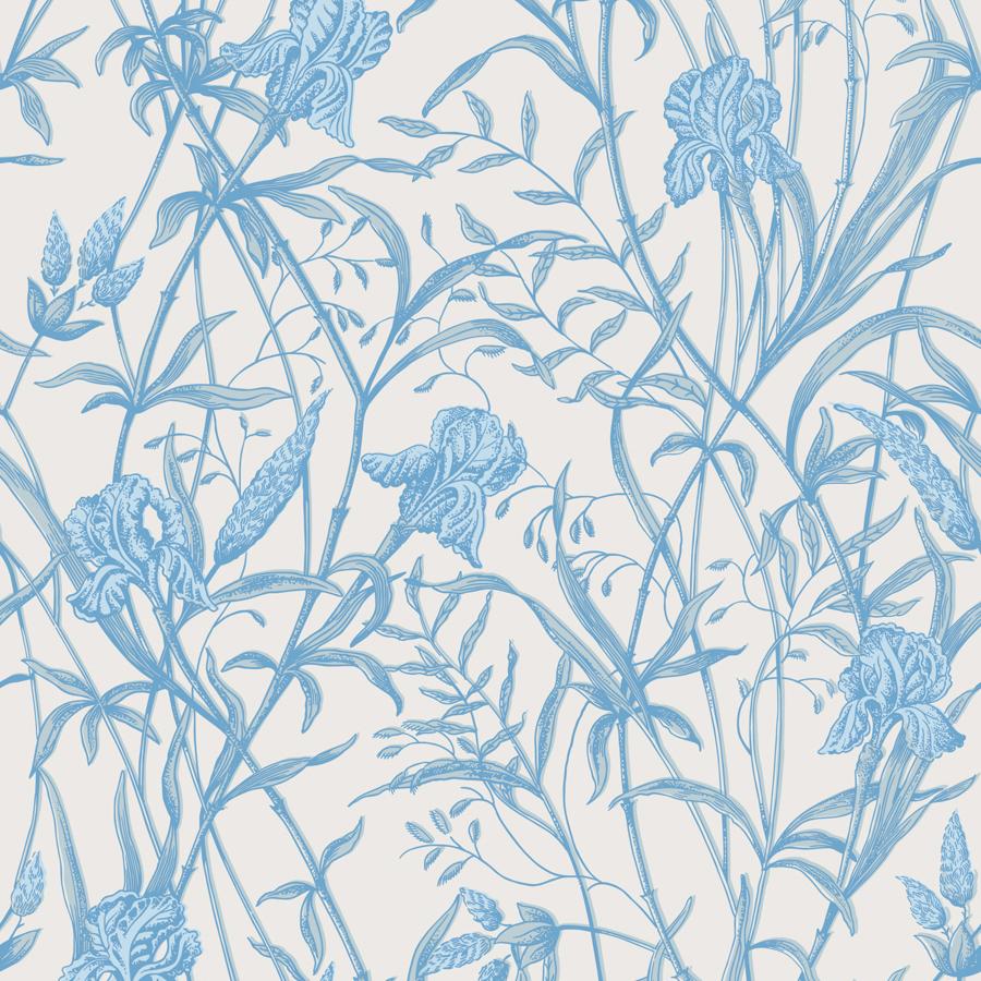Purchase 128/5026 Iris, Soft Cerulean Botanical - Cole & Son Wallpaper