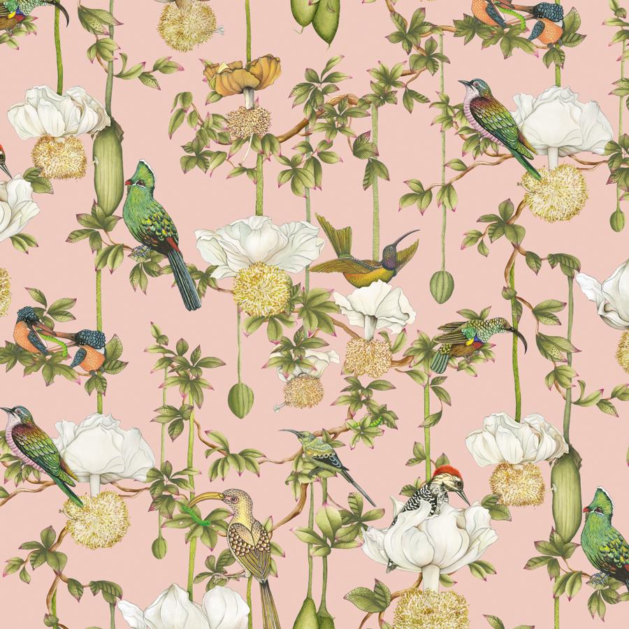 Purchase 129/2005-Cs Baobab Botanica, Blush - Cole & Son Wallpaper - 129/2005.Cs.0