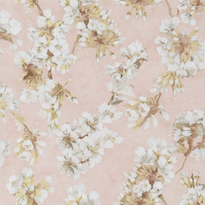 Purchase Pdg1148/04 | Fleur D'Assam - Designer Guild Wallpaper