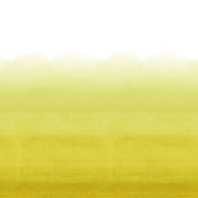 Purchase Pdg1163/07 | Shoshi - Designer Guild Wallpaper