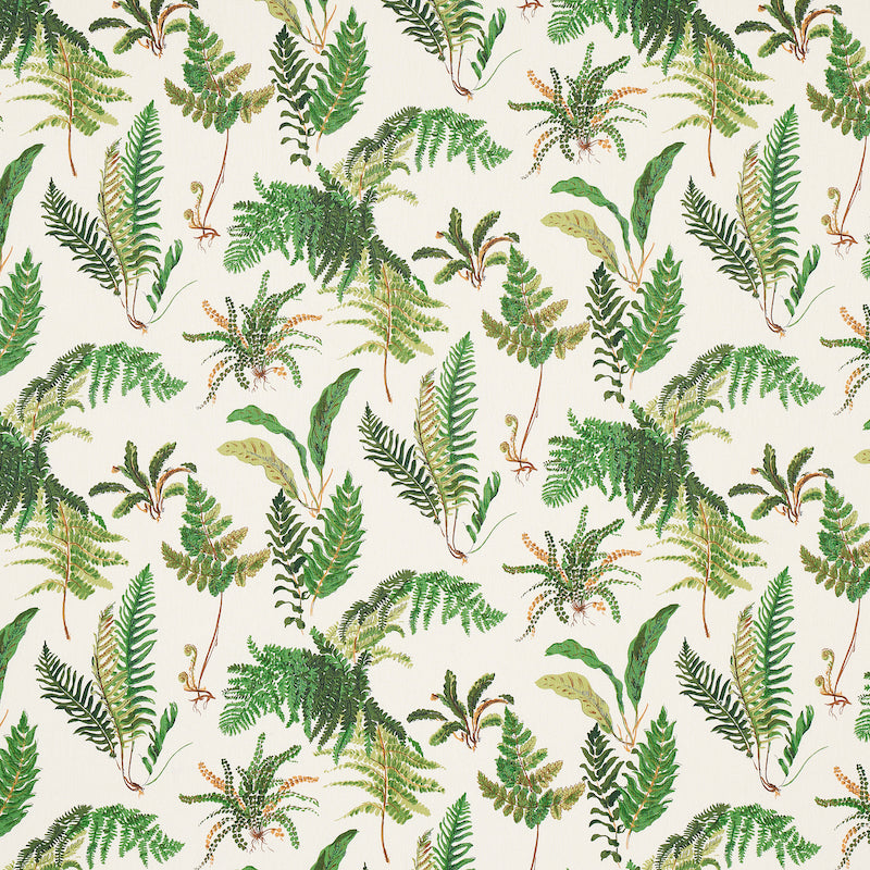 Select 174090 Les Fougeres Document by Schumacher Fabric