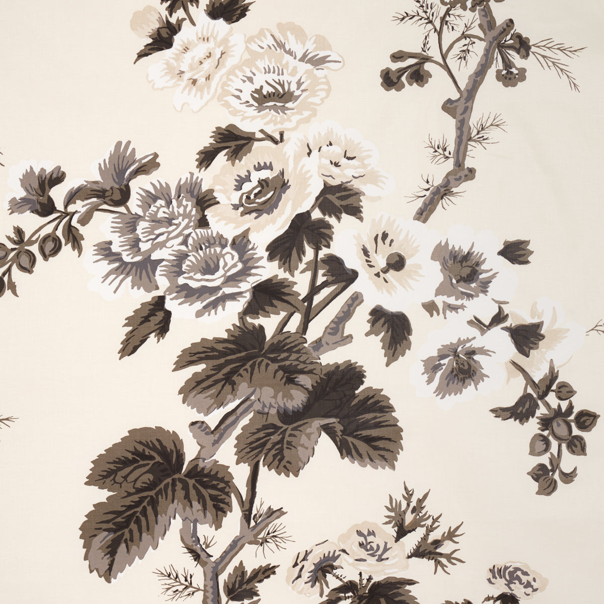 Find 174450 Pyne Hollyhock Charcoal by Schumacher Fabric